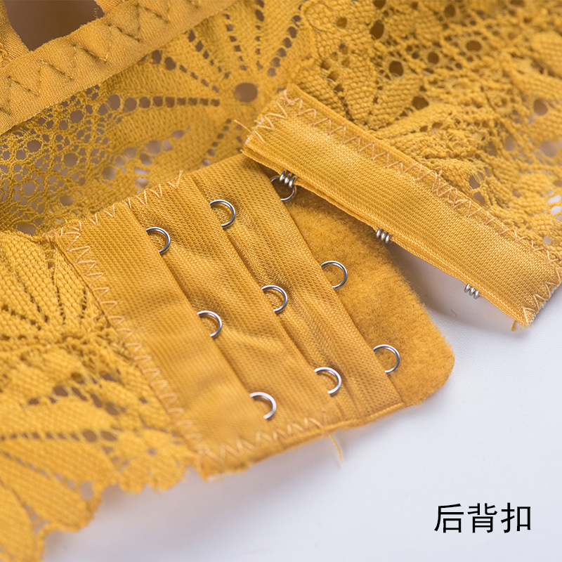 3D seksowna dziewczyna koronko – Sheer Bra Lace recenzja i cena